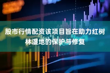 股市行情配资该项目旨在助力红树林湿地的保护与修复